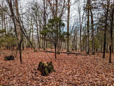 ** PENDING ** Land Adjoining National Forest for Sale - image 26