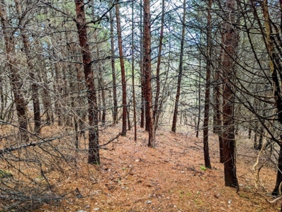 ** PENDING ** Land Adjoining National Forest for Sale - image 35