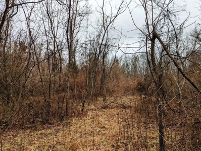 ** PENDING ** Land Adjoining National Forest for Sale - image 23