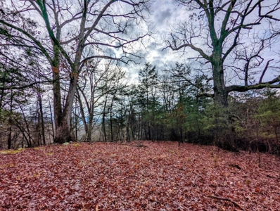 ** PENDING ** Land Adjoining National Forest for Sale - image 39