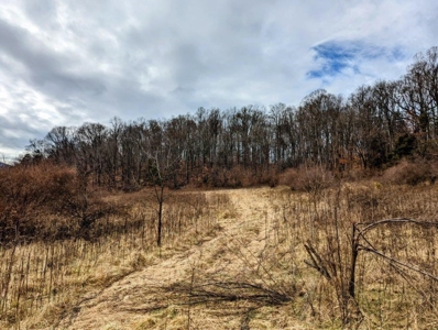 ** PENDING ** Land Adjoining National Forest for Sale - image 37