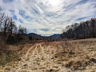 ** PENDING ** Land Adjoining National Forest for Sale - image 1