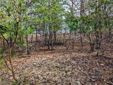 ** PENDING ** Land Adjoining National Forest for Sale - image 45