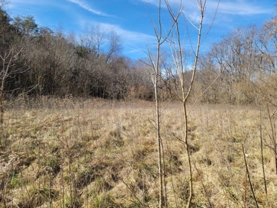 ** PENDING ** Land Adjoining National Forest for Sale - image 7