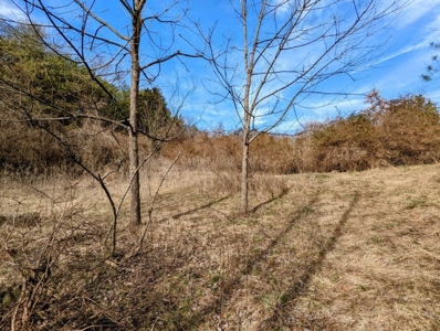 ** PENDING ** Land Adjoining National Forest for Sale - image 46
