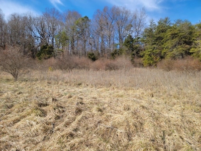 ** PENDING ** Land Adjoining National Forest for Sale - image 17