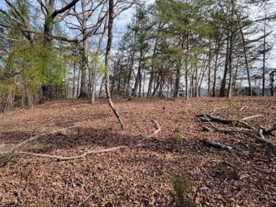 ** PENDING ** Land Adjoining National Forest for Sale - image 13
