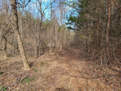** PENDING ** Land Adjoining National Forest for Sale - image 12