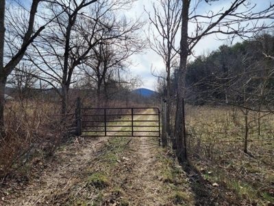 ** PENDING ** Land Adjoining National Forest for Sale - image 5