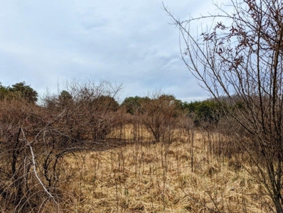 ** PENDING ** Land Adjoining National Forest for Sale - image 30