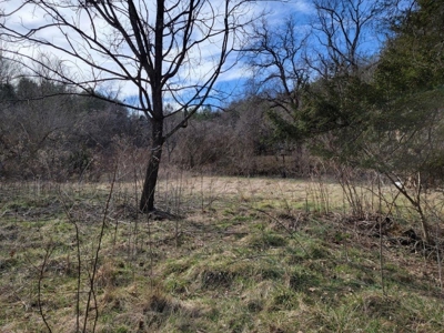 ** PENDING ** Land Adjoining National Forest for Sale - image 10