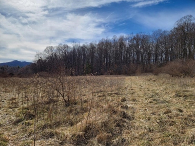 ** PENDING ** Land Adjoining National Forest for Sale - image 16