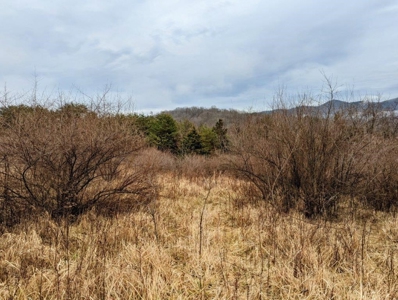 ** PENDING ** Land Adjoining National Forest for Sale - image 32