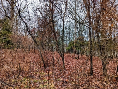 ** PENDING ** Land Adjoining National Forest for Sale - image 24
