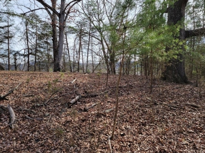 ** PENDING ** Land Adjoining National Forest for Sale - image 14