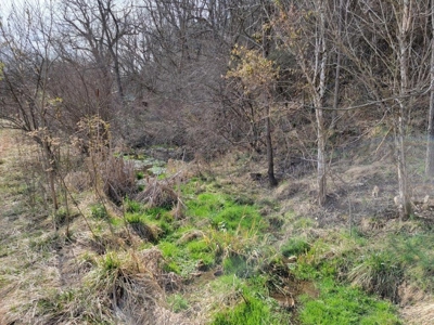 ** PENDING ** Land Adjoining National Forest for Sale - image 9