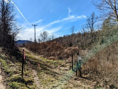 ** PENDING ** Land Adjoining National Forest for Sale - image 40