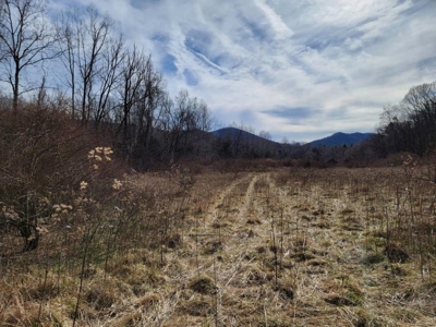 ** PENDING ** Land Adjoining National Forest for Sale - image 15
