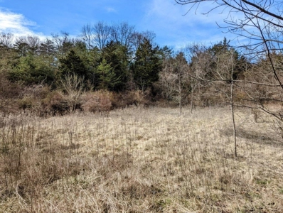** PENDING ** Land Adjoining National Forest for Sale - image 43