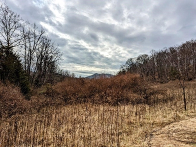 ** PENDING ** Land Adjoining National Forest for Sale - image 38
