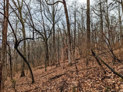 ** PENDING ** Land Adjoining National Forest for Sale - image 22
