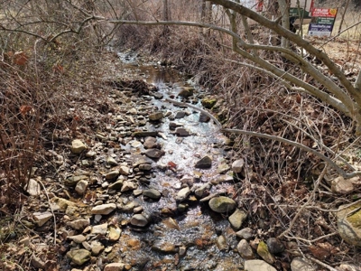 ** PENDING ** Land Adjoining National Forest for Sale - image 6