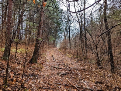 ** PENDING ** Land Adjoining National Forest for Sale - image 36
