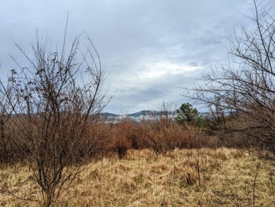 ** PENDING ** Land Adjoining National Forest for Sale - image 29