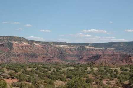 140+ Acres in Bull Canyon Ranches For Sale in Guadalupe Co - image 4