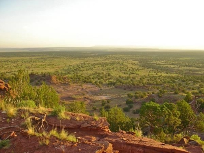 140+ Acres in Bull Canyon Ranches For Sale in Guadalupe Co - image 9