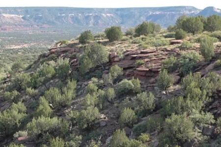 140+ Acres in Bull Canyon Ranches For Sale in Guadalupe Co - image 3