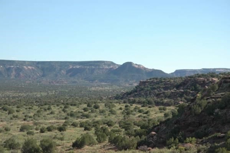 140+ Acres in Bull Canyon Ranches For Sale in Guadalupe Co - image 1