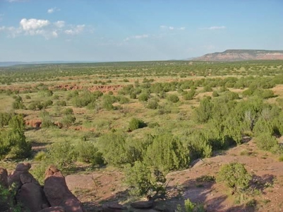 140+ Acres in Bull Canyon Ranches For Sale in Guadalupe Co - image 8