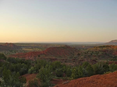 140+ Acres in Bull Canyon Ranches For Sale in Guadalupe Co - image 6