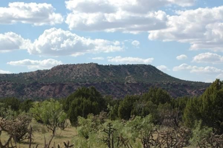 140+ Acres in Bull Canyon Ranches For Sale in Guadalupe Co - image 7