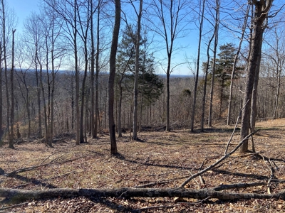 Prime 49.2 Acre Hunting Property - 2 Bed/1 Bath Mobile Home - image 8