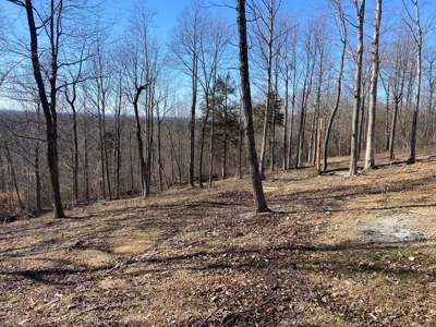 Prime 49.2 Acre Hunting Property - 2 Bed/1 Bath Mobile Home - image 5