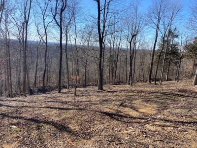 Prime 49.2 Acre Hunting Property - 2 Bed/1 Bath Mobile Home - image 6