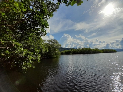 Waterfront Land in Tierra Oscura, Bocas del Toro, Panama - image 11