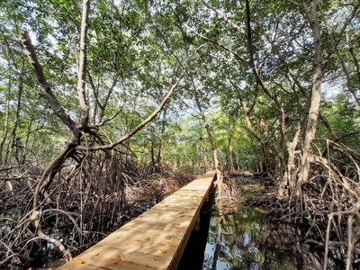 Waterfront Land in Tierra Oscura, Bocas del Toro, Panama - image 9