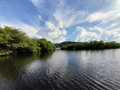 Waterfront Land in Tierra Oscura, Bocas del Toro, Panama - image 13