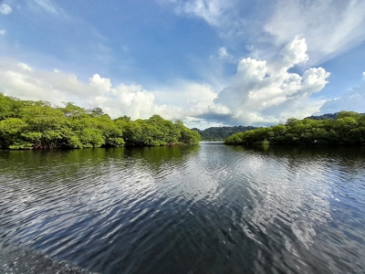 Waterfront Land in Tierra Oscura, Bocas del Toro, Panama - image 1