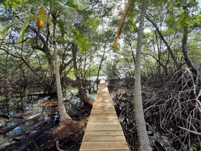 Waterfront Land in Tierra Oscura, Bocas del Toro, Panama - image 2