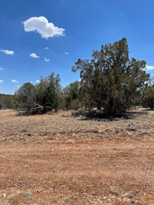 Backyard Is 639 Acres Of State Trust Land! - image 3