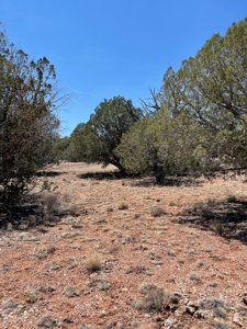 Backyard Is 639 Acres Of State Trust Land! - image 11