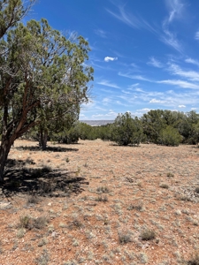 Backyard Is 639 Acres Of State Trust Land! - image 8