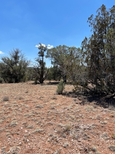 Backyard Is 639 Acres Of State Trust Land! - image 7