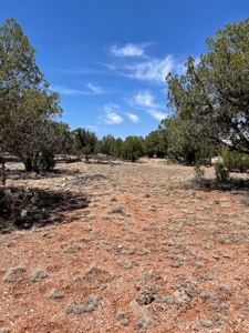 Backyard Is 639 Acres Of State Trust Land! - image 9