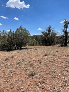 Backyard Is 639 Acres Of State Trust Land! - image 6