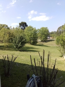 Home Close To Toledo Bend For Sale - image 15